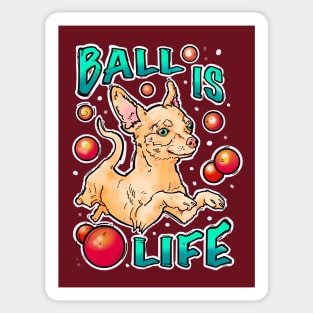 Ball is life! Chihuahua playing Sticker